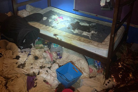 3 väikest tüdrukut, sajad loomad, kes on päästetud Florida taunitavast kodust, mis on täidetud loomade väljaheidete ja uriiniga, ütleb politsei