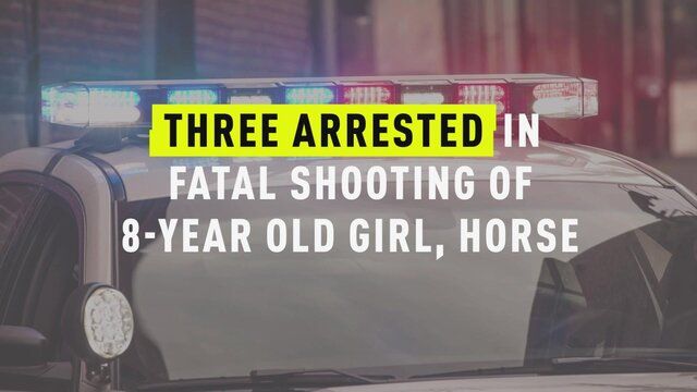 Tres sospechosos arrestados en el tiroteo fatal de una niña de 8 años, el caballo que estaba acariciando
