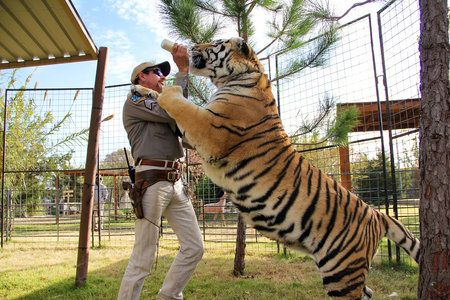 Jeff Lowe는 'Tiger King'에서 Joe Exotic의 동물원을 영구 폐쇄한다고 발표했습니다.